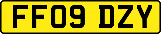 FF09DZY