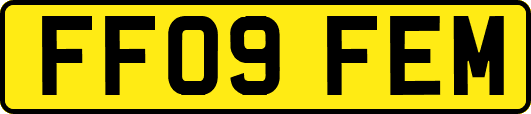 FF09FEM