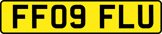 FF09FLU