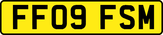 FF09FSM