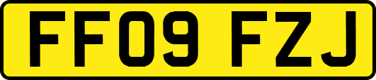 FF09FZJ