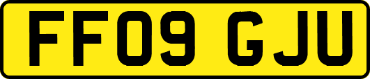 FF09GJU