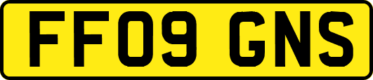 FF09GNS
