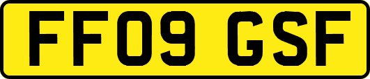 FF09GSF