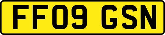 FF09GSN