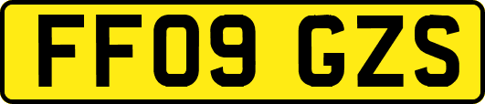 FF09GZS