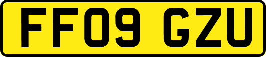 FF09GZU