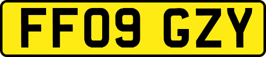 FF09GZY