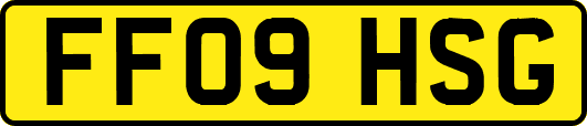 FF09HSG