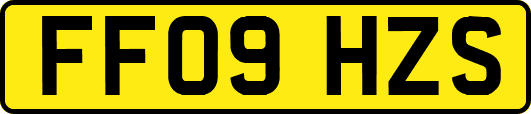 FF09HZS