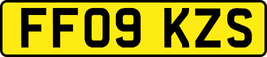 FF09KZS