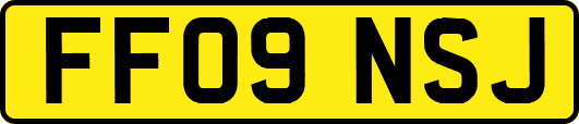 FF09NSJ
