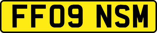 FF09NSM