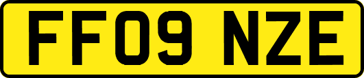 FF09NZE