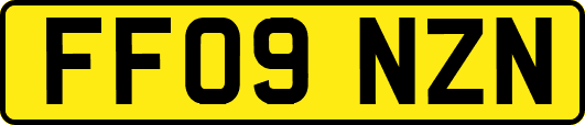 FF09NZN