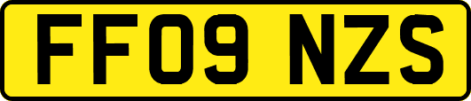 FF09NZS