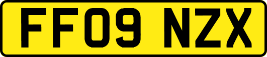 FF09NZX