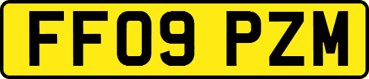 FF09PZM