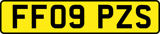 FF09PZS