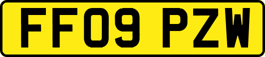 FF09PZW