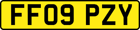 FF09PZY