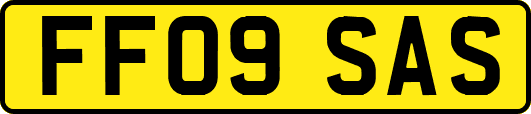 FF09SAS