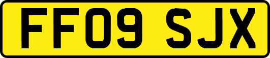 FF09SJX