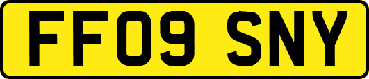 FF09SNY