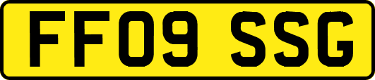 FF09SSG