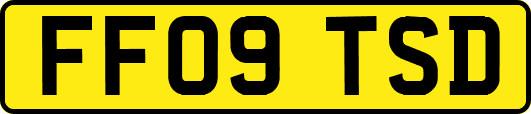 FF09TSD