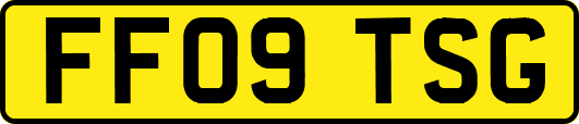 FF09TSG