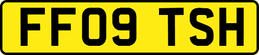 FF09TSH