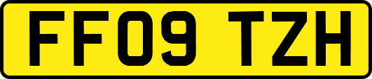 FF09TZH