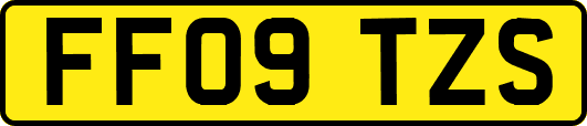 FF09TZS