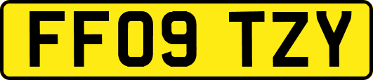 FF09TZY