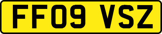 FF09VSZ
