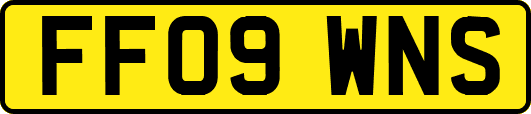 FF09WNS
