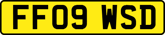 FF09WSD