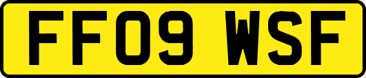 FF09WSF