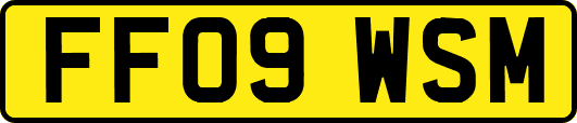 FF09WSM