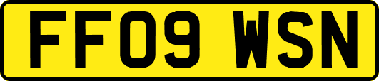 FF09WSN