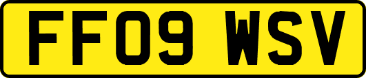 FF09WSV