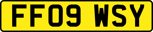 FF09WSY