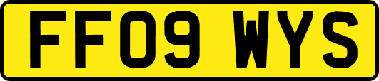 FF09WYS