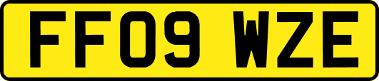 FF09WZE