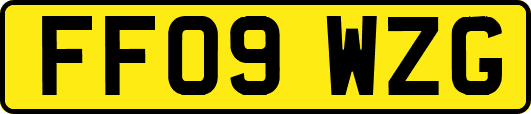 FF09WZG