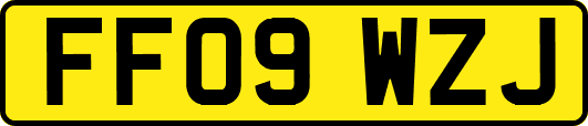 FF09WZJ