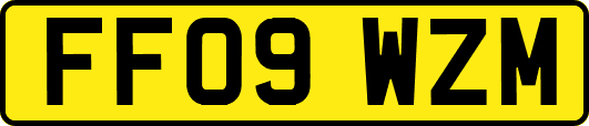 FF09WZM