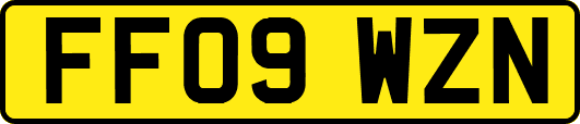 FF09WZN