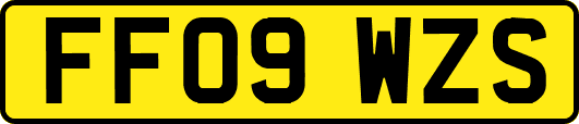 FF09WZS